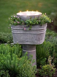 a metal bucket with candles in it surrounded by plants and shrubs on the ground outside