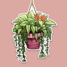 a potted plant hanging from a hook on a pink wall with green plants in it