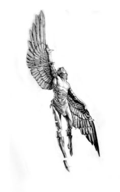 a drawing of a bird flying in the air with its wings spread out and outstretched