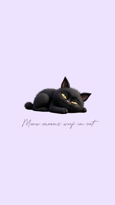 a black cat laying on top of a purple floor with the words mean me always