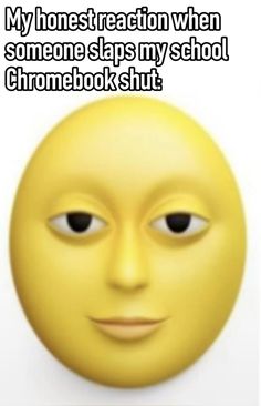 a yellow smiley face with the words, my honest reaction when someone slaps my school chromebook shut