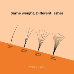 Lashes Lengths Chart, Lash Tech Advice, Eyelash Extension Training Manual, Lash Length Chart, Lash Company Name Ideas, Lash Business Names Ideas, Lash Logo Design Ideas, Esthetician Logo Ideas