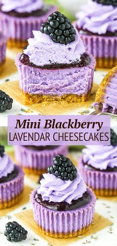 mini blackberry lavender cheesecakes with blackberries on top