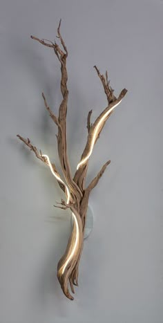 a metal tree sculpture with lights on it's branches, against a gray wall