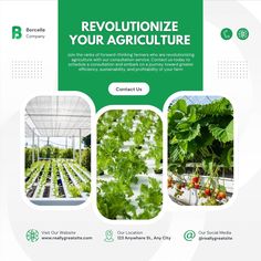 Agriculture Social Media Design, Collage Ads, Agriculture Design, Bio Food, Real Estate Marketing Design, Garden Solutions, Facebook Design, Photo Collage Maker, Sustainable Garden