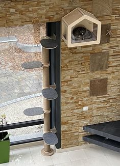 a cat tree in front of a window with a bird house on it's side