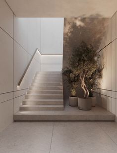 there is a potted tree on the stairs in this room with white walls and flooring