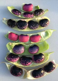 three pea pods are arranged in the shape of a pyramid on top of each other