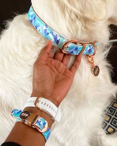 a person is petting a white dog wearing a blue floral collar and matching bracelets