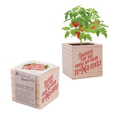 PRICES MAY VARY. PLANT KIT includes tomato seed packet, peat pellet, and wooden cube planter QUANTITY ... 50 pack includes 50 planter cubes kits 3" x 3" x 3" natural pine cube to hold the plant features a plastic liner for protection and "Grateful for you from my head to-ma-toes" punny sentiment BOOSTS MORALE … morale stays high when people know their hard work is valued. Our recognition gifts are the perfect way to show them their effort makes a difference MONEY BACK GUARANTEE … We’re confident Appreciation Gifts For Coworkers, Gourmet Gift Box, Coffee Gift Basket, Volunteer Gifts, Appreciation Ideas, Chocolate Gifts Basket, Wooden Planter, Volunteer Appreciation, Staff Meetings