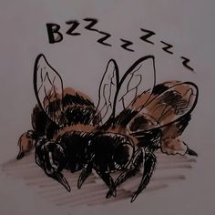 a drawing of two bees sitting next to each other