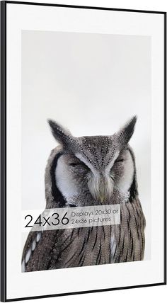 an owl with its eyes closed sitting on top of a white table next to a black frame