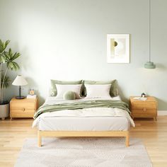 a bedroom with a bed, nightstands and potted plant on the side wall