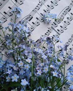 some blue flowers and sheet music on a wall with musical notes in the back ground