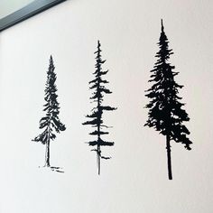 three black and white trees on a white wall