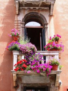 an open window with flower boxes on the ledge