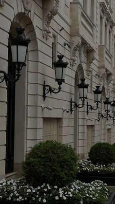 several street lights on the side of a building with white flowers in front of it