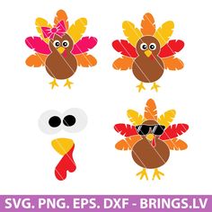 three turkeys with sunglasses on their heads, one wearing glasses and the other wearing an orange