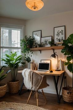 a desk with a laptop and some plants