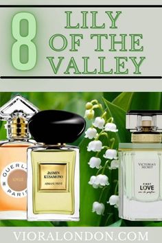 8 Lily of the Valley Perfumes Lily Of The Valley Perfume, Iris Perfume, Perfume Wishlist, See View, Perfumes Collection, Winter Perfume, Unique Perfume, Homemade Perfume, Lily Of The Valley Flowers