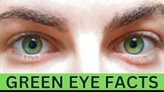 Green Eyes Facts green eyes facts about green eyes green eyes truth eye color green eyes most attractive eye colour amazing facts about green eyes interesting facts about green eyes scientific facts about green eyes 10 facts about green eyes green eyes facts facts about green eyes personality rare green eyes eyes facts people with green eyes Facts About Green Eyes, Green Eye Quotes, Green Eyes Facts, People With Green Eyes, Olive Green Eyes, Green Eyes Pop, Hair Colour For Green Eyes