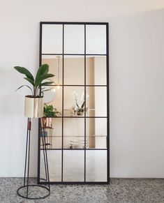 a large mirror sitting on top of a floor next to a plant