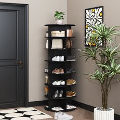 a room with a potted plant and shoes on the floor in front of it