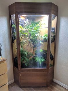 a fish tank filled with lots of plants in it's display case on top of a hard wood floor