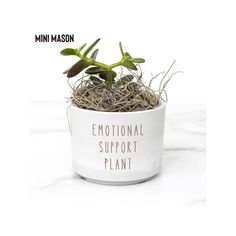 a small plant in a white pot with the words'emotion support plant'written on it