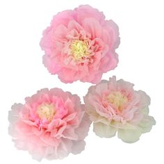 PRICES MAY VARY. These beautiful Pastel Chrysanth Flower decorations are perfect for weddings, birthday parties, christenings, nurseries, bedrooms, gazeboos, marquees, churches, fashionshows, even photo shoots and shop displays! Whether suspended from the ceiling, strung on a garland or scattered around a room, paper flowers add that extra touch to your celebration and are perfect for any event making them ideal for weddings and events abroad. Large size:approx 20 inch (49cm)each .Ships flat, Pa Outdoor Events Decor, Wedding Decor Floral, Crepe Flowers, Giant Paper Flower, Tissue Pom Poms, Shop Displays, Giant Paper Flowers, Floral Backdrop, Party Centerpieces