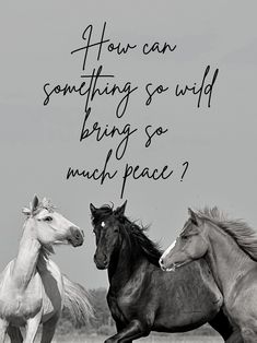 three horses running in the grass with a quote on it that reads, how can something so wild bring so much peace?