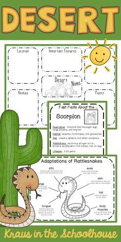 desert worksheet for kids with pictures and information about the animals in the desert