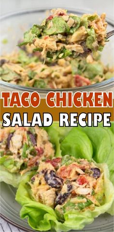 taco chicken salad recipe with lettuce leaves and tomatoes in the middle on a plate