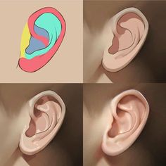 three images of the inside of an ear with different colors and shapes on them,