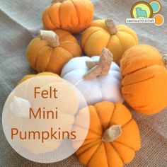 felt mini pumpkins are sitting on the floor with text overlay that reads felt mini pumpkins