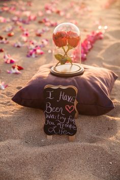 a rose in a glass vase sitting on top of a pillow with a sign that says i have been waiting for you my entire life