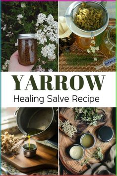 the cover of yarrow's book is shown with images of jars and flowers