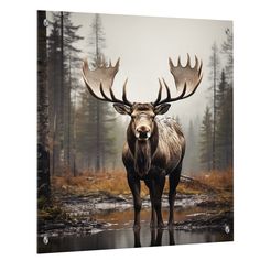 a large moose standing in the middle of a forest next to a body of water