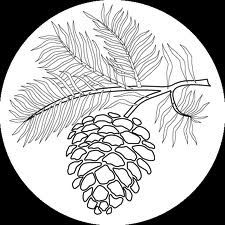 a black and white drawing of a pine cone on a branch