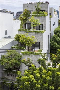 an apartment building with trees growing on it