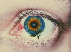 an eye with a flower in the iris