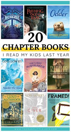 20 Chapter Books I Read with My Kids in 2024 - The Many Little Joys