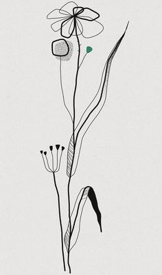 a drawing of flowers on a white background