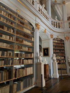 a large room with many bookshelves and statues on the shelves in front of them