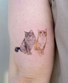 two cats tattoo on the right arm and left arm, with one cat sitting next to the other