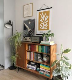 a bookshelf filled with lots of books next to a potted plant on top of a hard wood floor