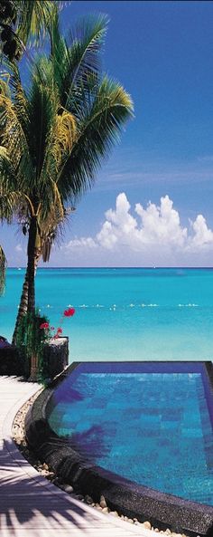 an outdoor swimming pool with palm trees and the ocean in the backgroung