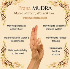 Chakra Massage, Mudras Meanings, Prana Mudra, Healing Reflexology, Pressure Point Therapy, Muladhara Chakra, Chakra Healing Meditation