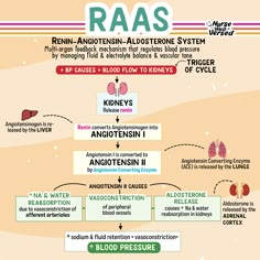 a diagram showing the steps in how to use raas for blood pressure and heart health