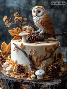 an owl figurine sitting on top of a white cake covered in frosting